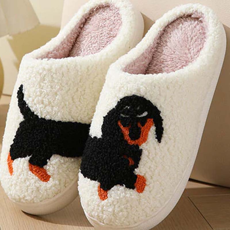 Maliben | Pawsnooze – Cozy Warmth And Comfort That Brings You Joy