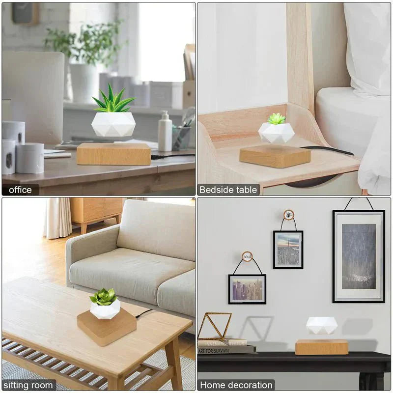 Maliben | Anti-Gravity Plants - Astonish Your Space - Nature Reinvented