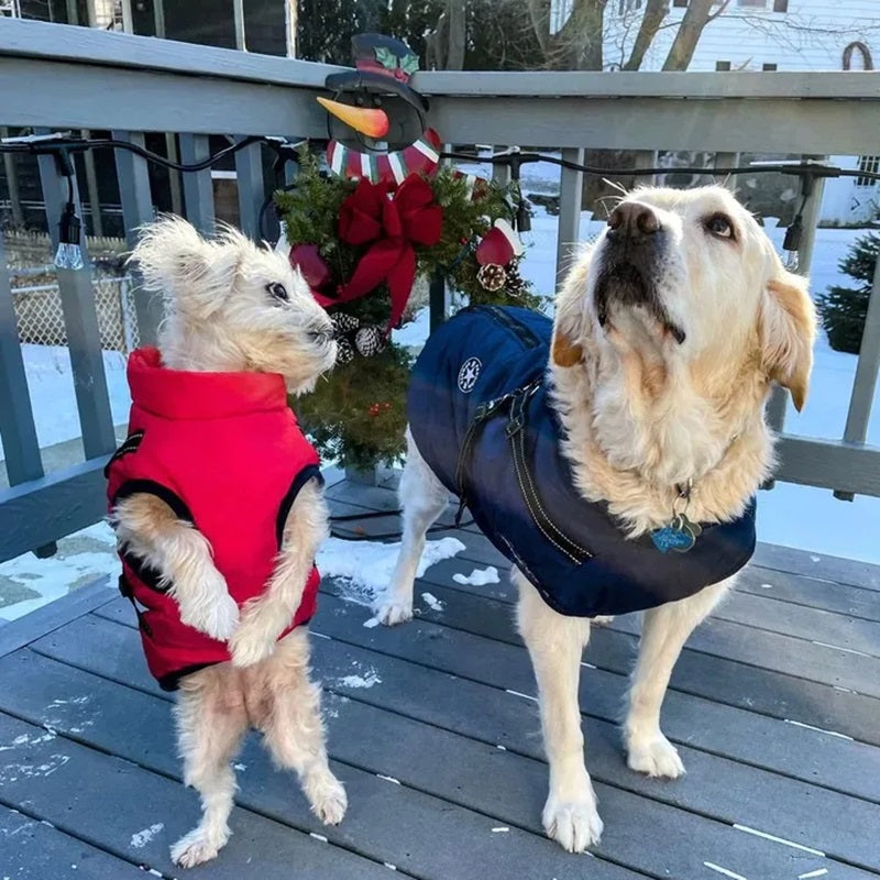 Maliben Waterproof Dog Jacket for Winter with Reflective Built-In Harness