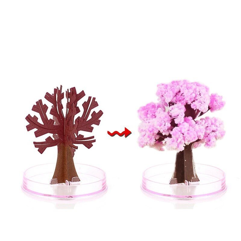 Maliben | Make Your Garden Bloom - Grow Your Sakura Tree!