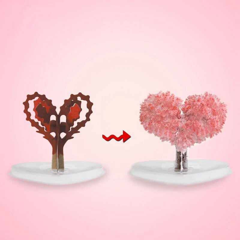 Maliben | Make Your Garden Bloom - Grow Your Sakura Tree!