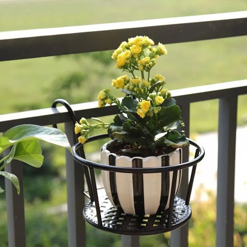 Maliben | Transform Your Balcony - Hanging Plants - Botanical Getaway