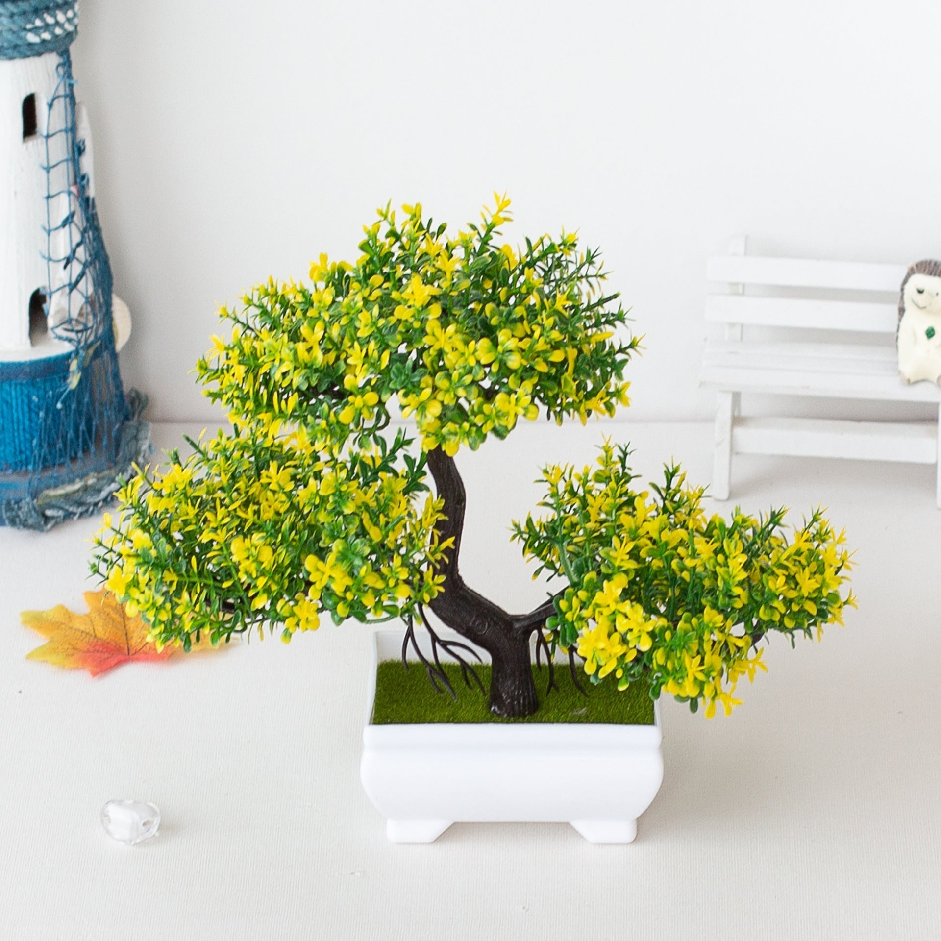 Maliben | Plant Bonsai