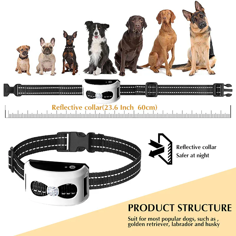 Maliben | 2-in-1 Wireless Dog Fence & Outdoor Training Collar