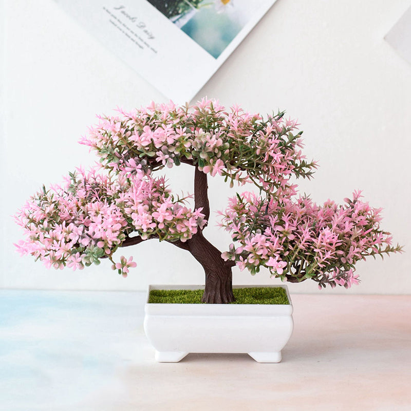 Maliben | Plant Bonsai