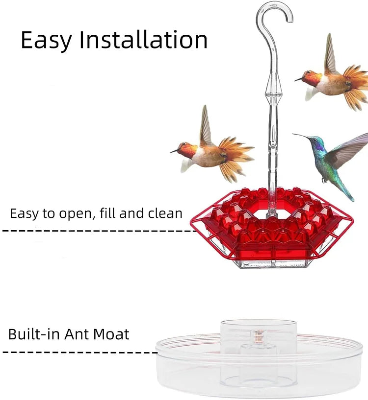 MAliben | Kolibrikracher — Create a Vibrant Bird Paradise Right In Your Garden!