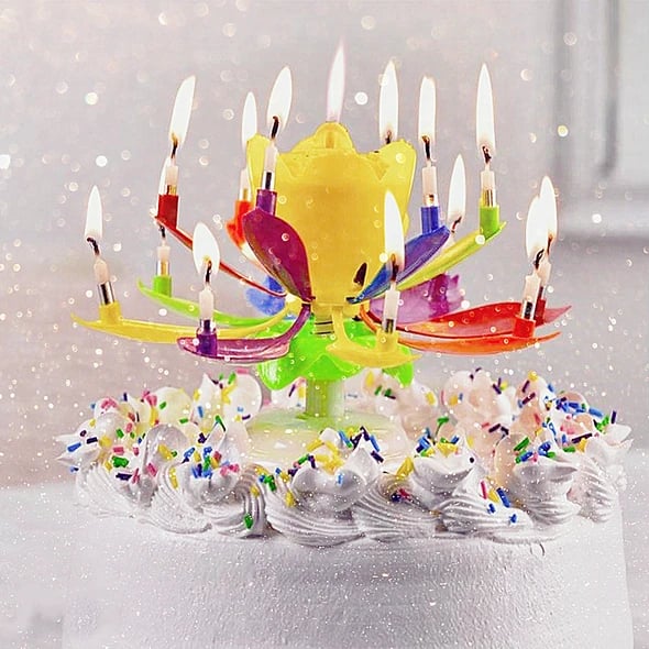 Maliben | 🎂Magic Flower Birthday Candle