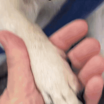 Maliben | Clippix | Safe Nail Clipping Without Risk Or Stress