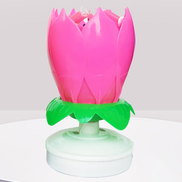 Maliben | 🎂Magic Flower Birthday Candle