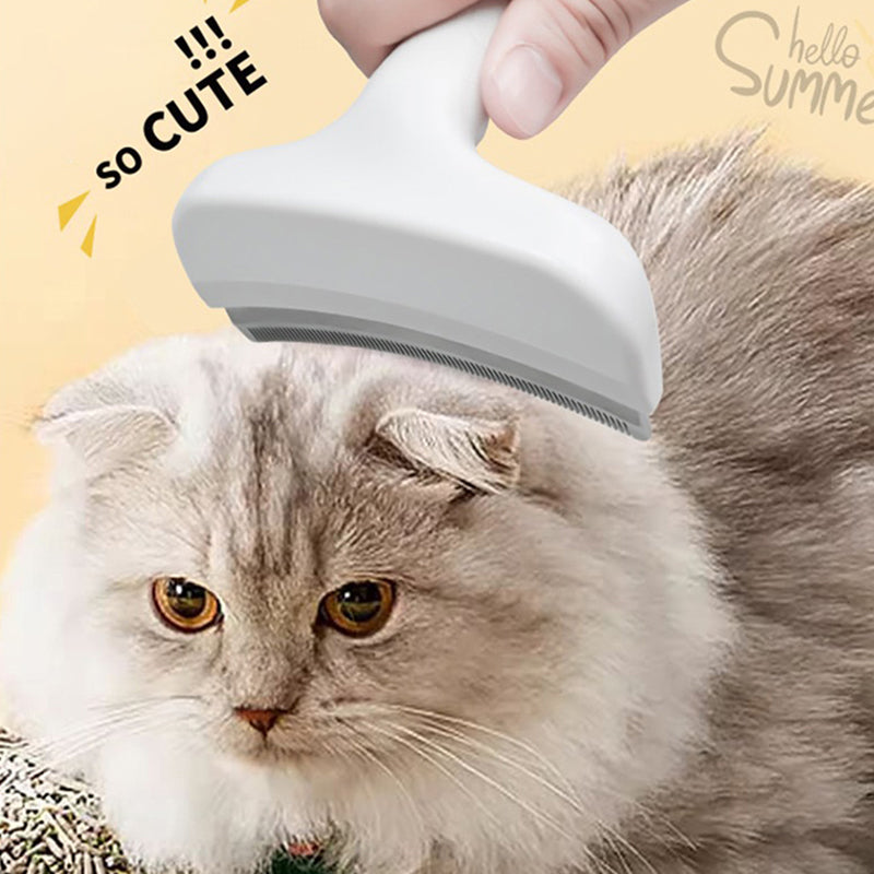 MAliben | TidyFurr – Simple fur Care For a Clean, Happy Home