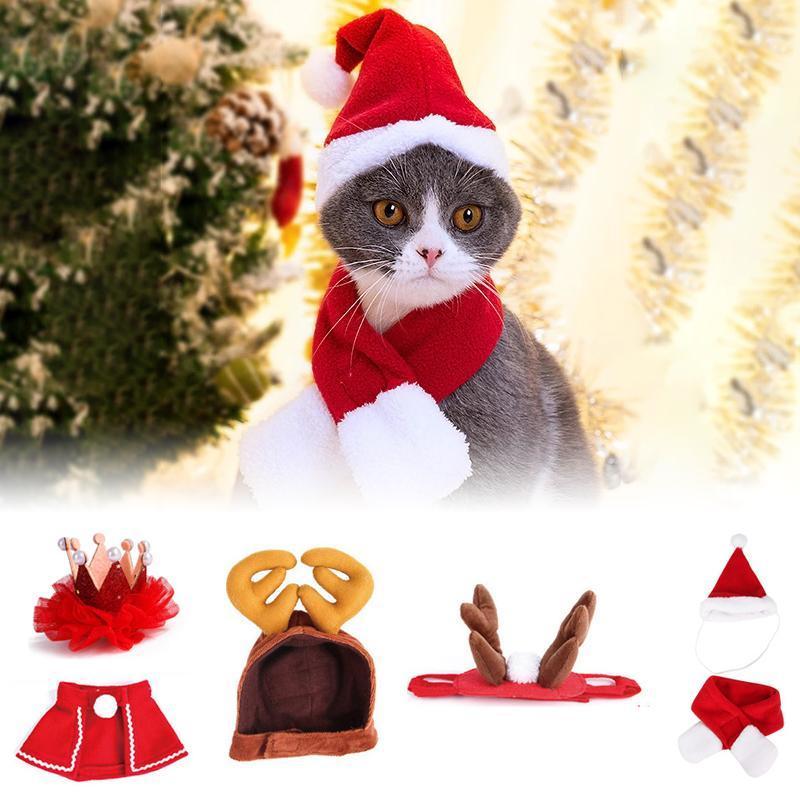 Maliben | Festivapaws – Warm Festive Pet Outfits That Attract Attention