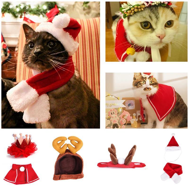 Maliben | Festivapaws – Warm Festive Pet Outfits That Attract Attention