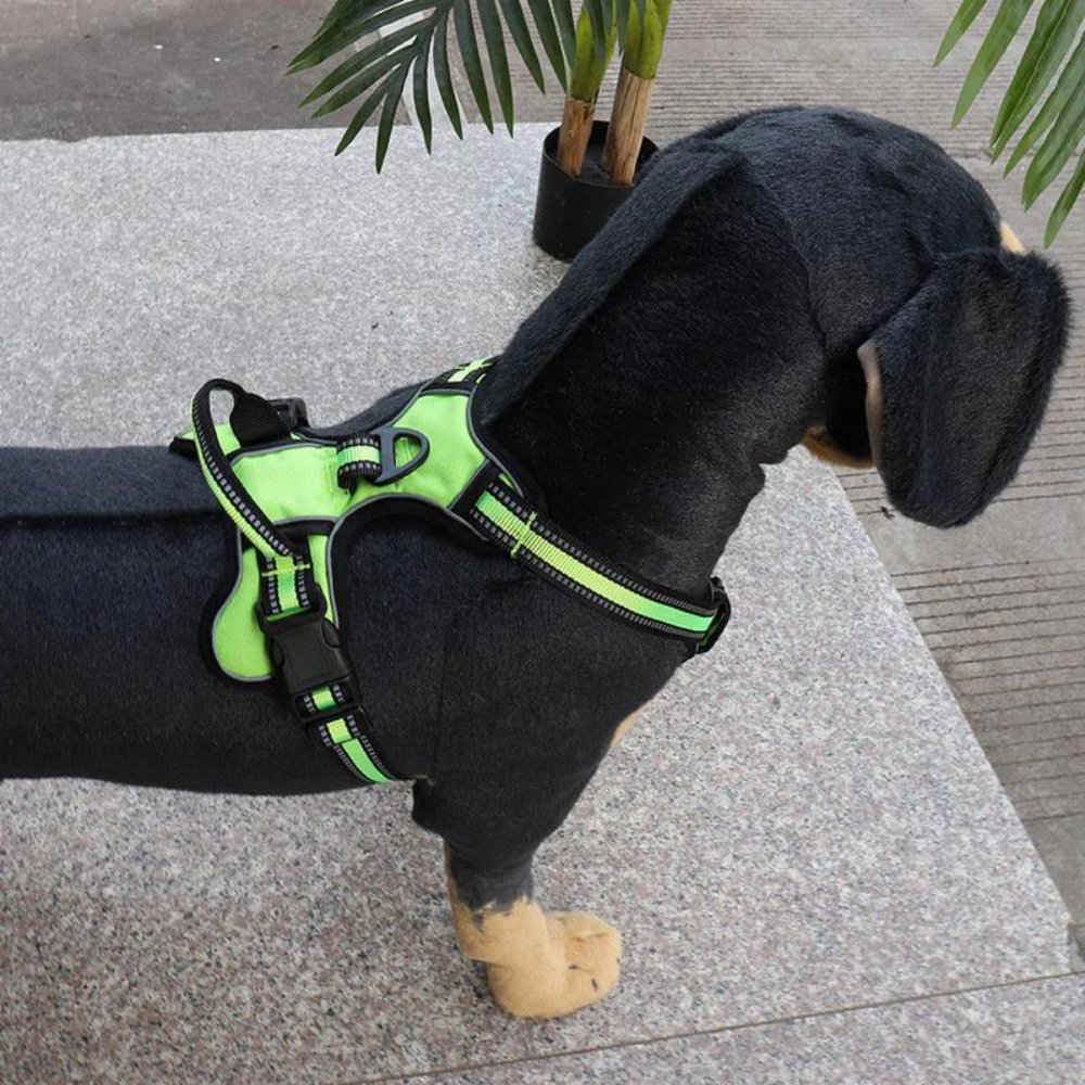 FlexHarness • No Pull Dog Harness