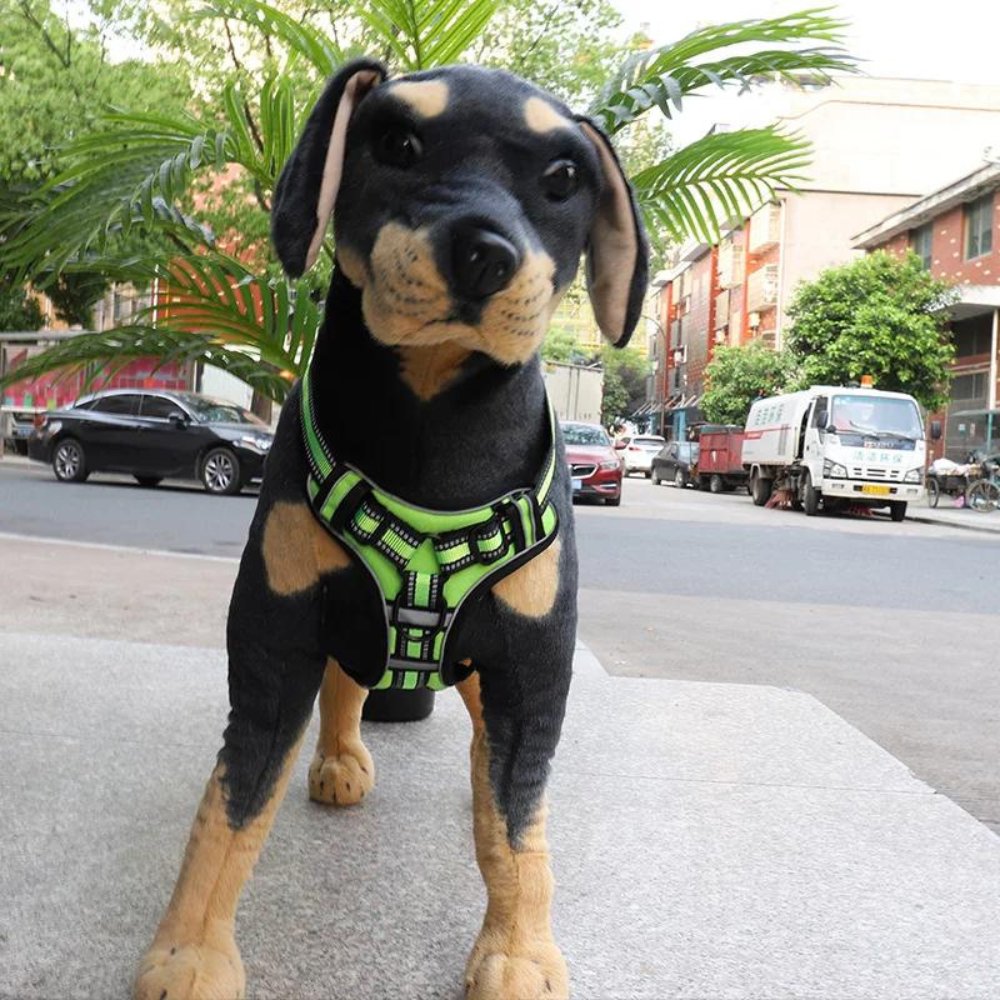 FlexHarness • No Pull Dog Harness