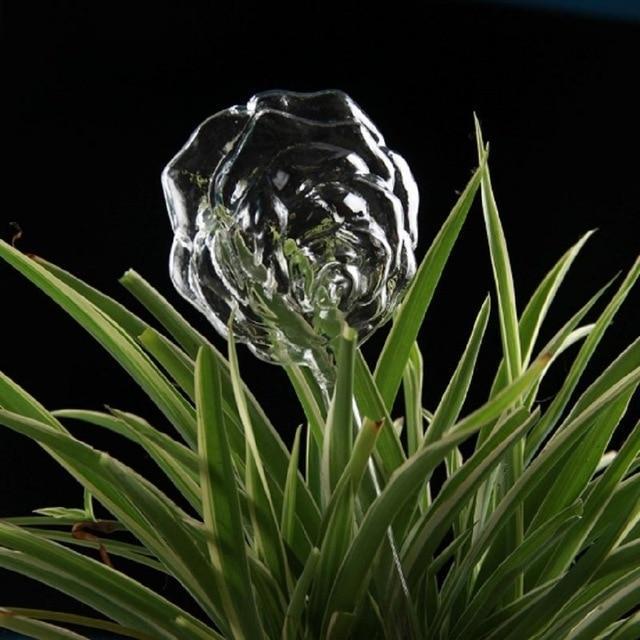 Maliben | Self-Watering Plant Bulb
