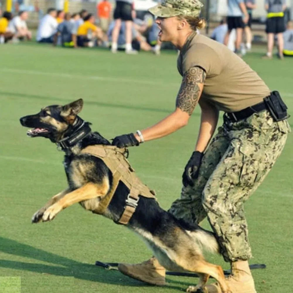 GuardianVest • No Pull Dog Harness