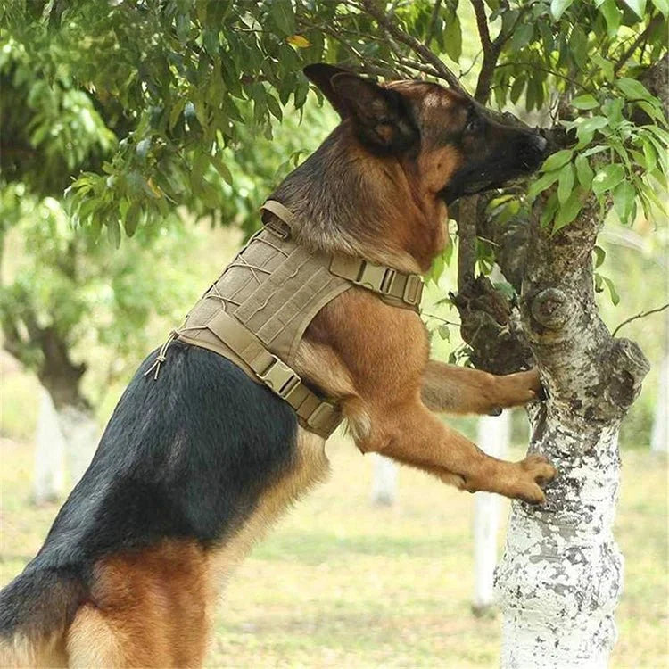GuardianVest • No Pull Dog Harness