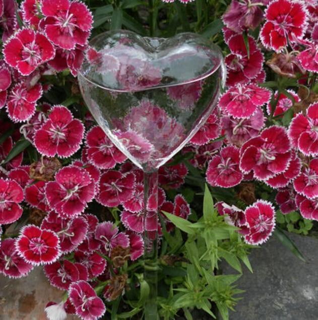 Maliben | Self-Watering Plant Bulb