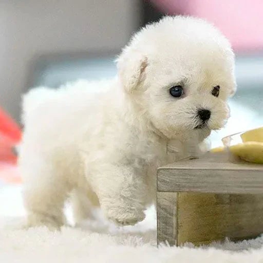 Maliben CuddlePup Smart Robot Puppy — Interactive Companion Toy