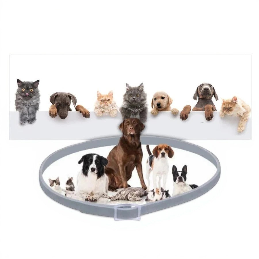 Maliben | Adjustable Pet Flea and Tick Repellent Collar – For Dogs and Cats, Water-Resistant