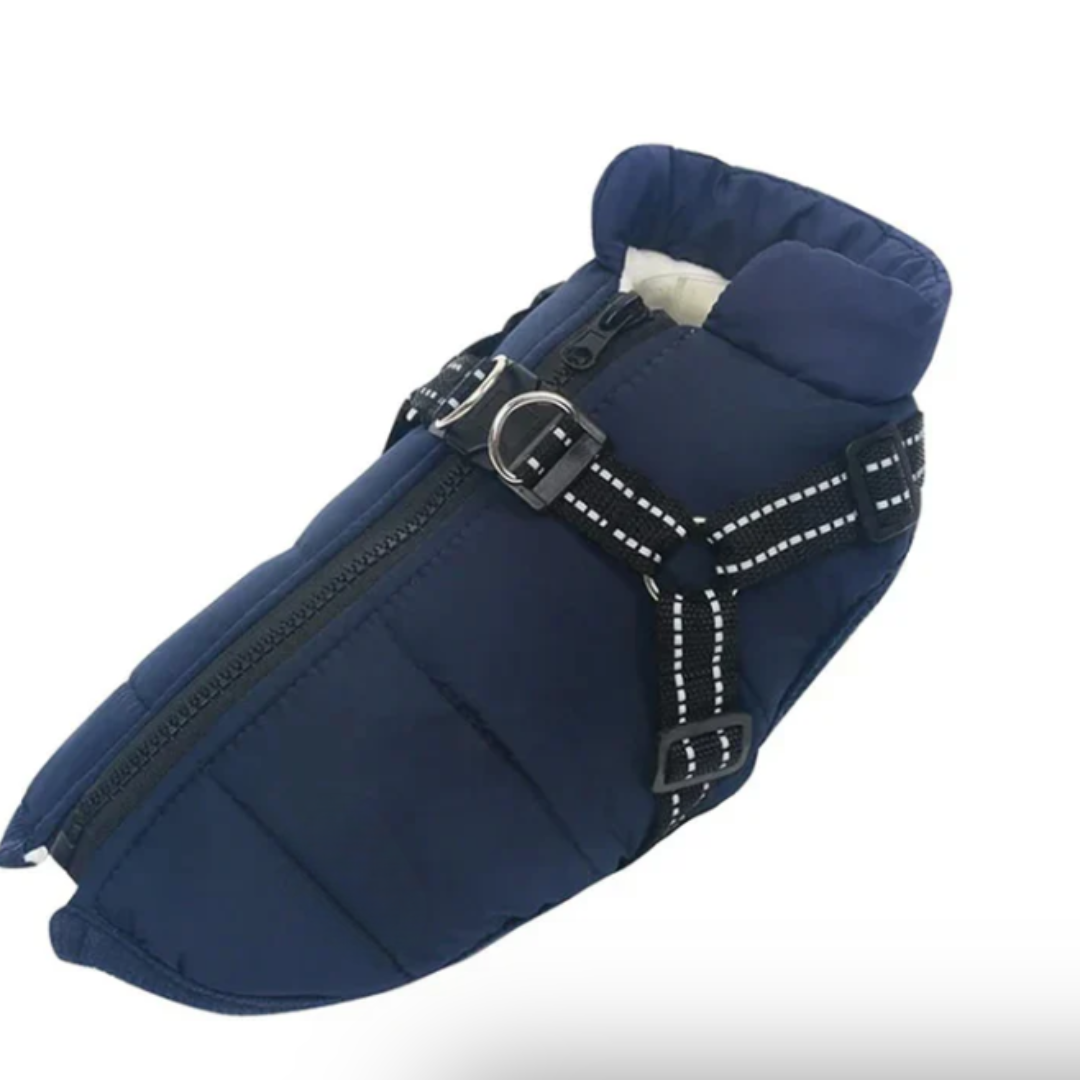 Maliben | Dog Coat Harness Winter Walks