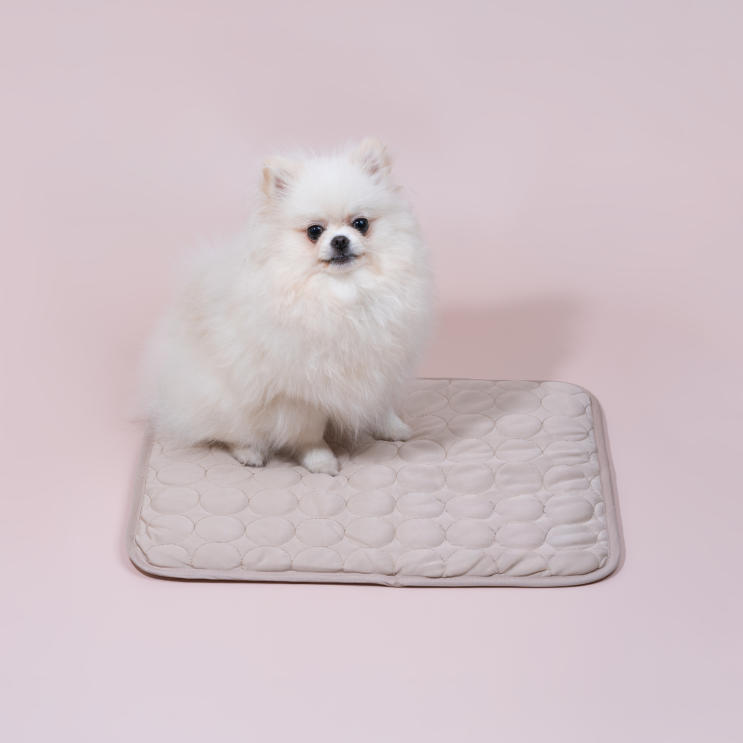 Maliben | Innovative Cooling Mat for Dogs (4x Cooling Power) - ChillComfort