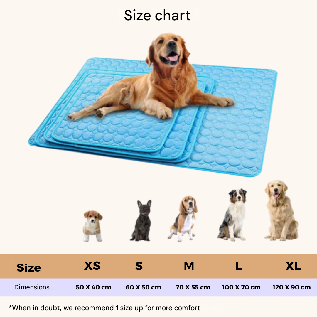 Maliben | Innovative Cooling Mat for Dogs (4x Cooling Power) - ChillComfort