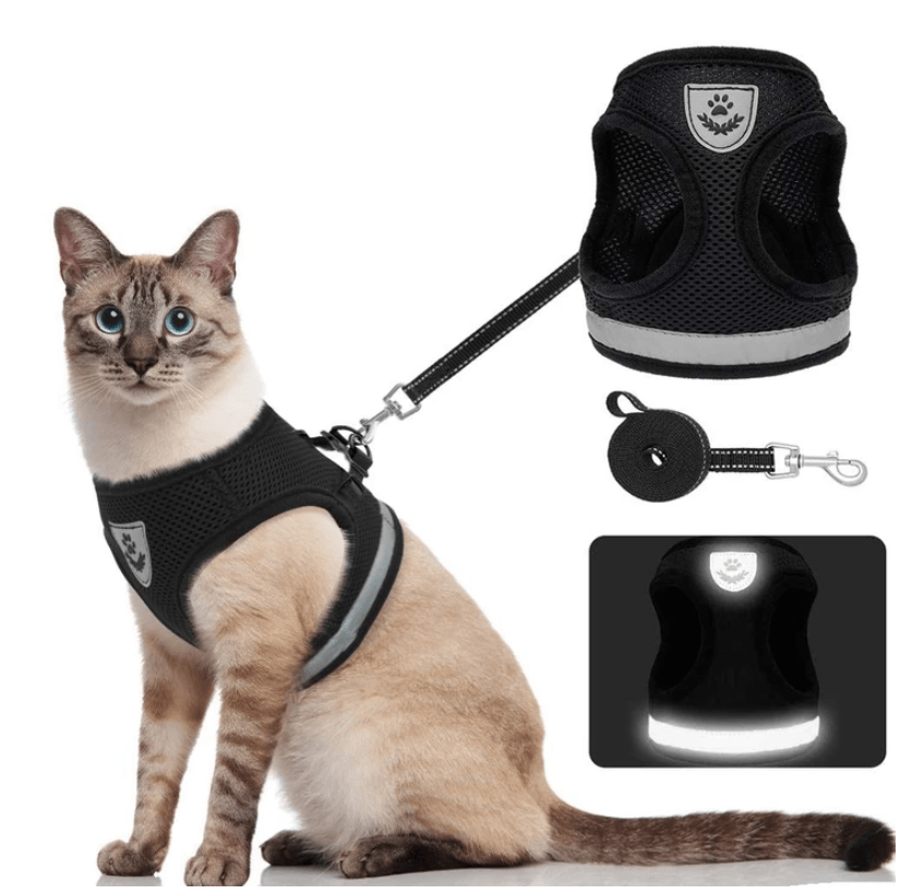 Maliben | Escape-proof cat harness with reflective details