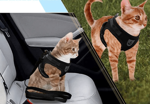 Maliben | Escape-proof cat harness with reflective details