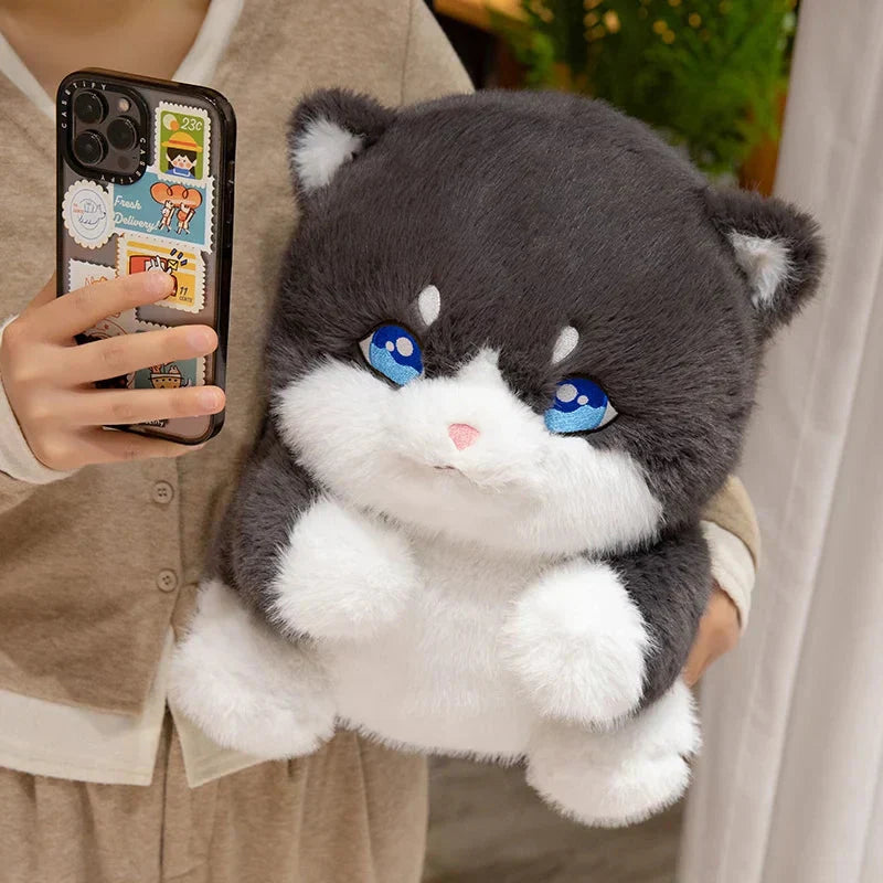Maliben | Cute Chubby Gray Ginger Cat Plushies