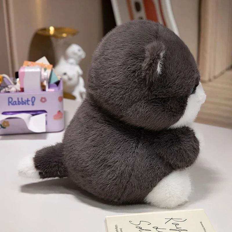 Maliben | Cute Chubby Gray Ginger Cat Plushies