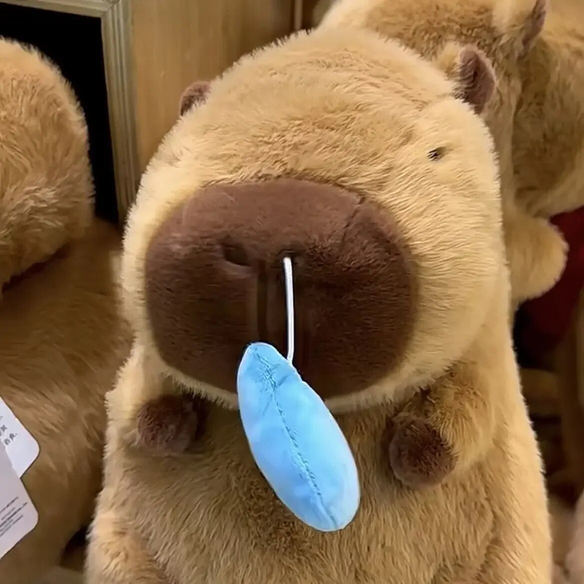 Maliben | Cute Snotty Capybara Runny Nose Plushie