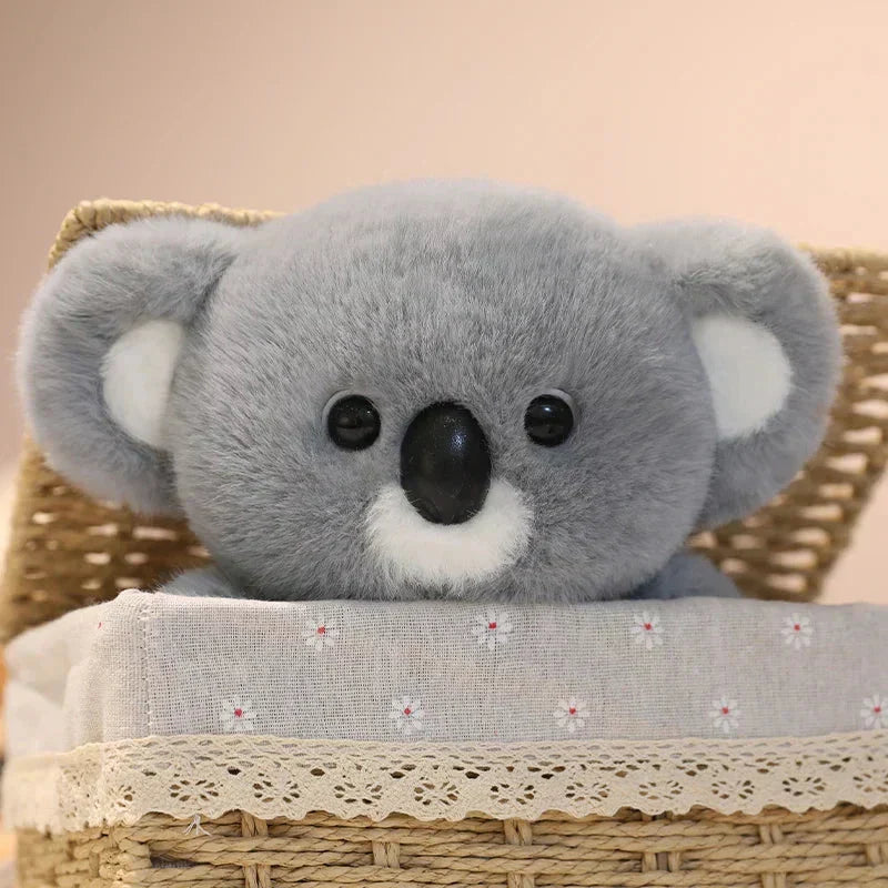 Maliben | Koko The Kawaii Koala Plushie