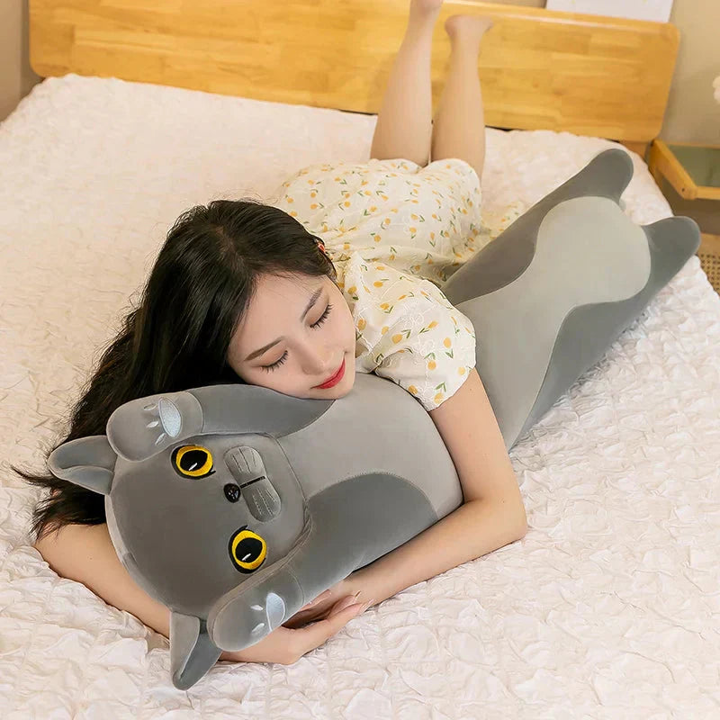 Maliben | Long Snuggly Cat Siamese British Shorthair Snowshoe Plushies Collection