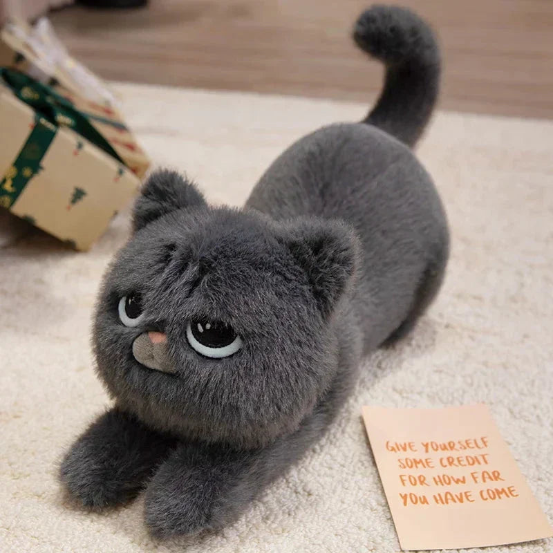 Maliben | Mochi, Marmie & Midnight – Sleepy Cat Plushies