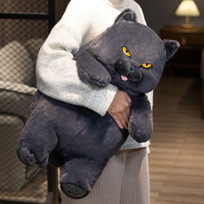 Maliben | Poe The Grumpy Cat Plushie