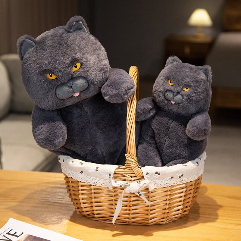 Maliben | Poe The Grumpy Cat Plushie