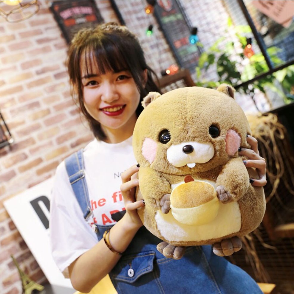 Maliben | Snacking Beaver Plushies | Limited Stock