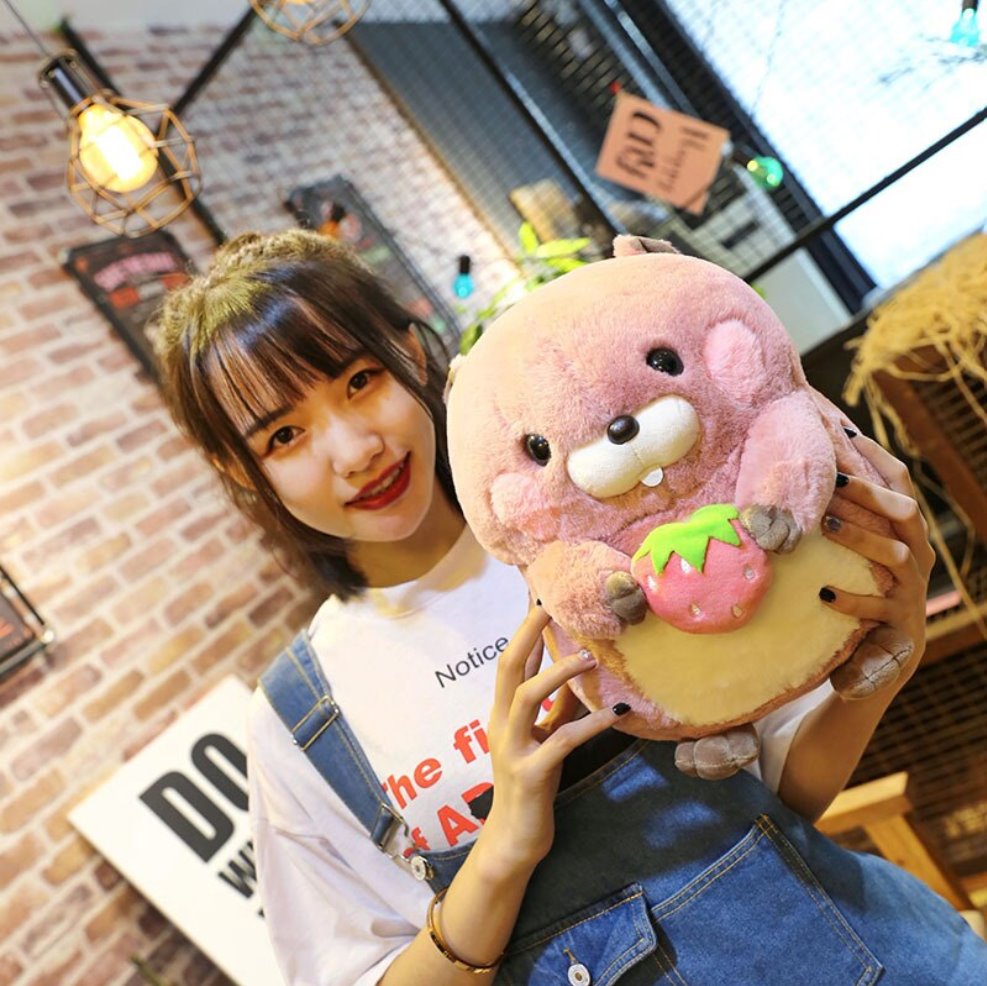 Maliben | Snacking Beaver Plushies | Limited Stock