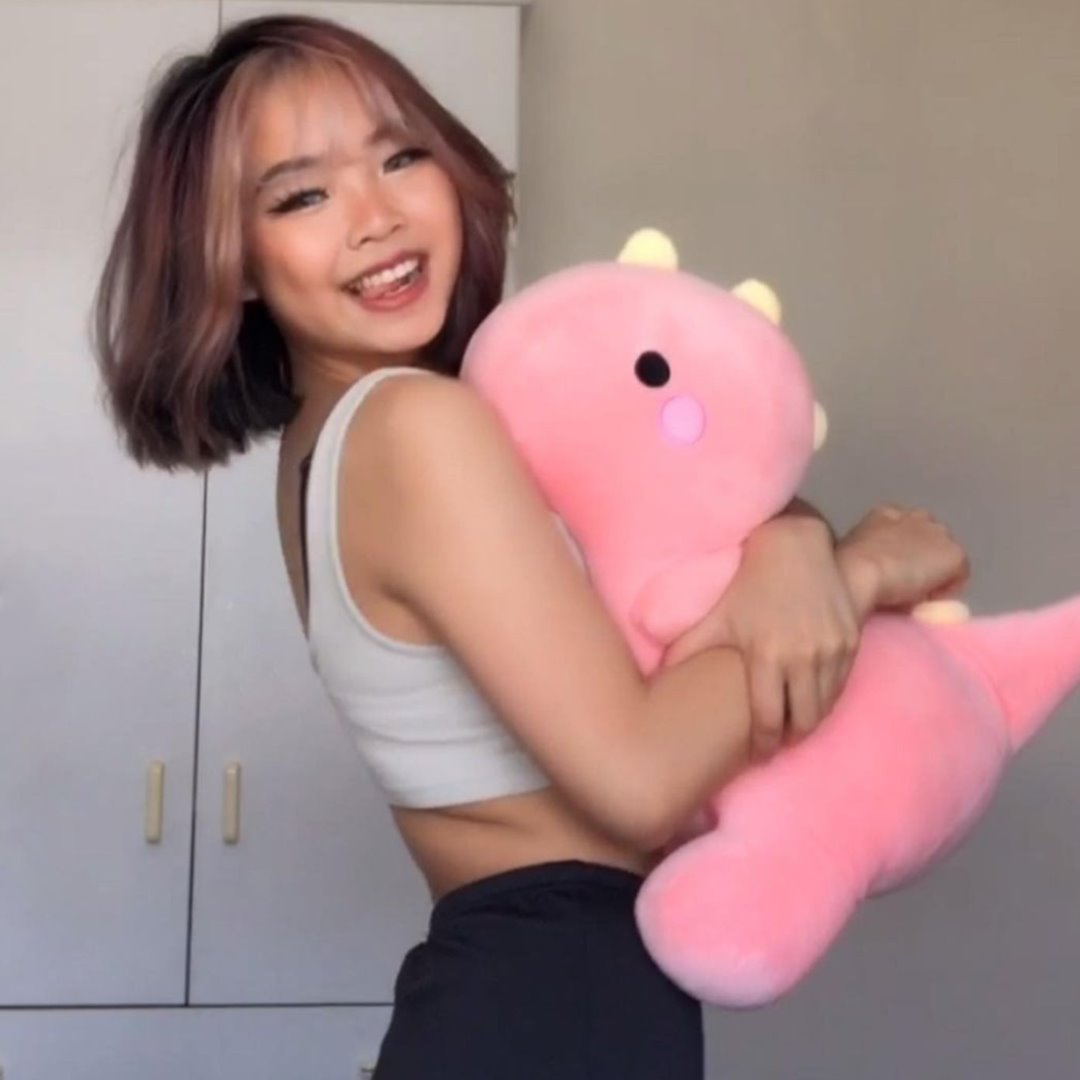 Maliben | The Dinosaur Family Plushies