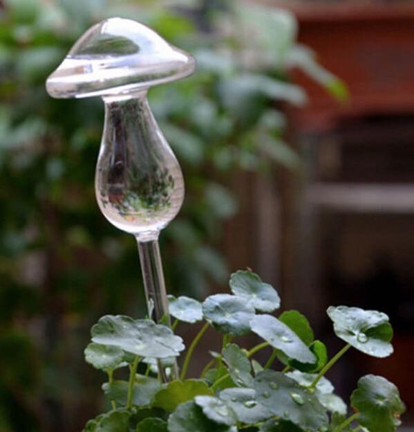 Maliben | Self-Watering Plant Bulb