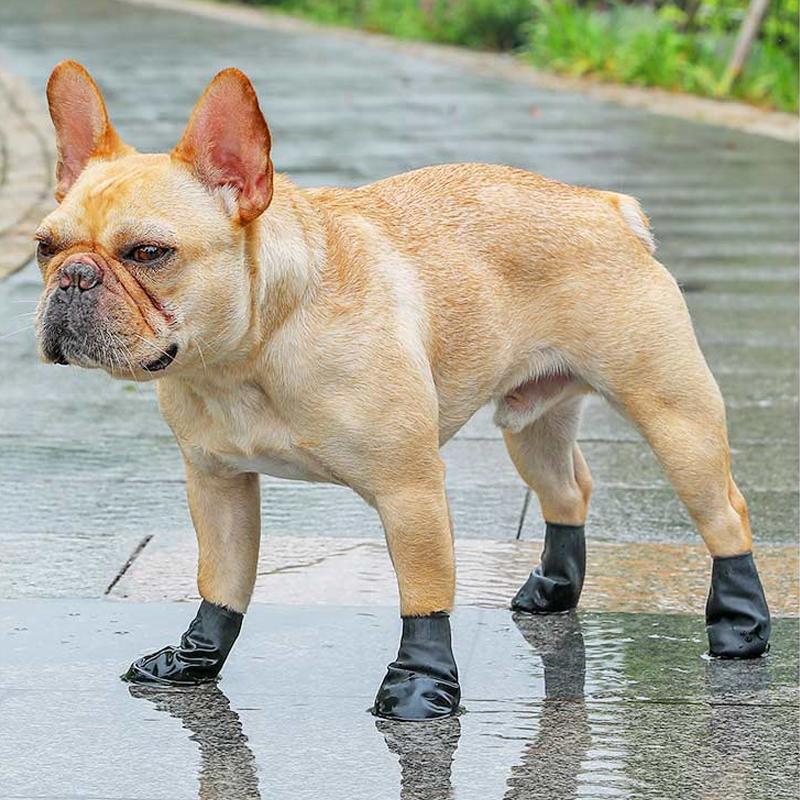 Maliben | Pootshield Waterproof Dog Shoes With Grip And Protective Comfort