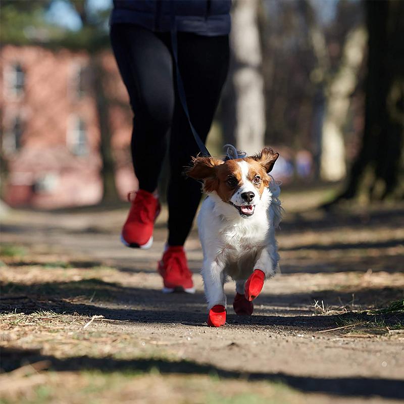 Maliben | Pootshield Waterproof Dog Shoes With Grip And Protective Comfort