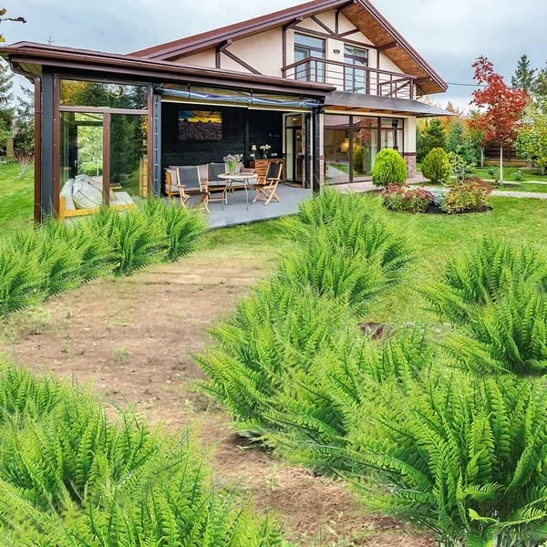 Maliben | Uv Resistant Artificial Boston Fern | Lifelike, Waterproof & Maintenance-Free For Outdoor Décor