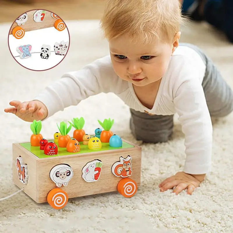 Maliben | Montessori Learning And Development Wooden Toy