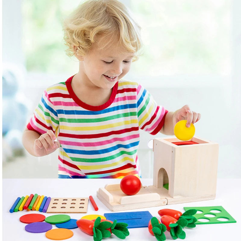 Maliben | Montessori Wooden Play Box: Tasks & Solutions Set