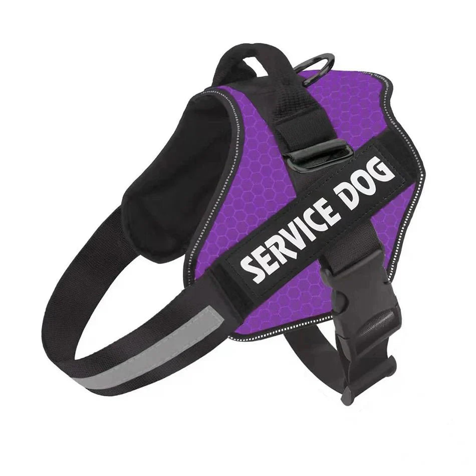 PawsFit • No Pull Dog Harness