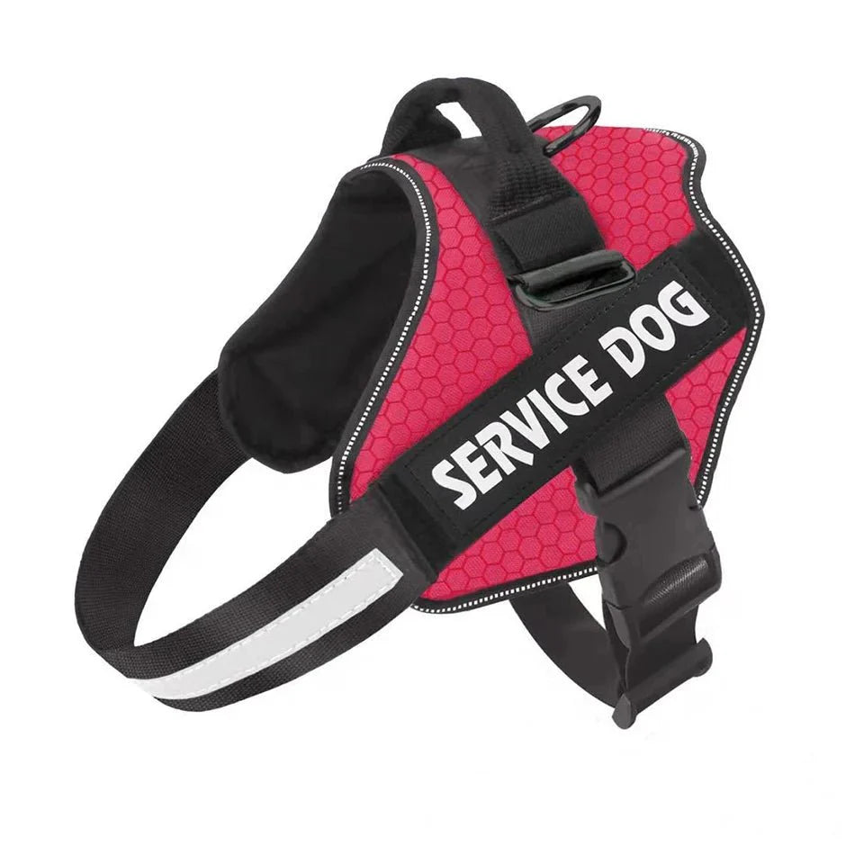 PawsFit • No Pull Dog Harness