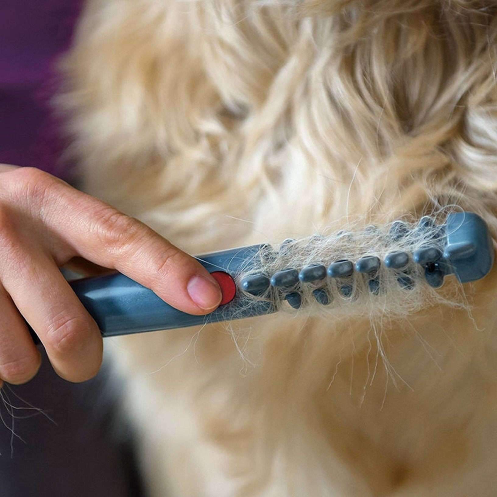 Maliben | Electric Pet Grooming Comb - The Ultimate Pet Grooming Tool