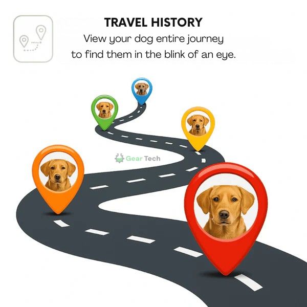 Maliben | GPS Dog Collar | Waterproof, Adjustable & Unlimited Range for Real-Time Tracking